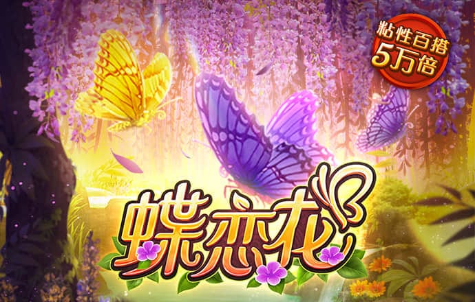 泽宇体育